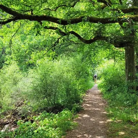 Apartment Villa Lahr Lahr (Hunsruck)