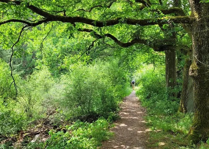 Apartament Villa Lahr Lahr (Hunsruck)